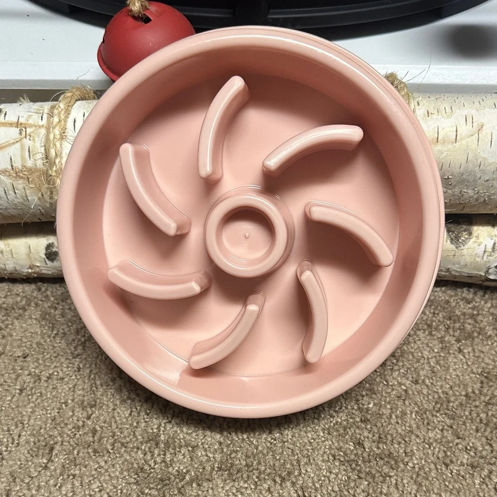 Slow eating dog bowl